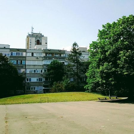 Men Who Knit Apartment Belgrad Exterior foto