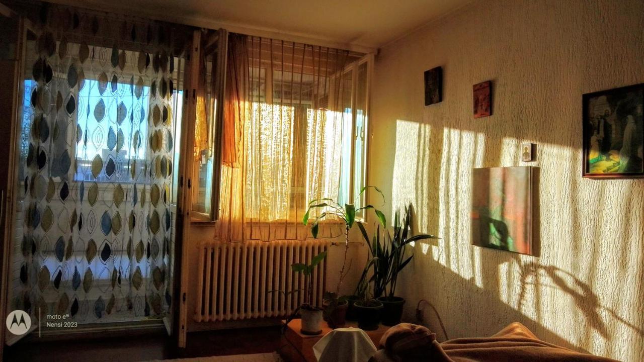 Men Who Knit Apartment Belgrad Exterior foto
