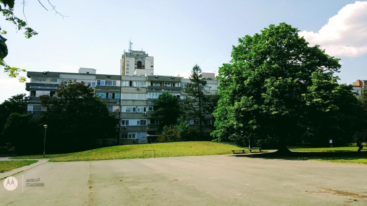 Men Who Knit Apartment Belgrad Exterior foto